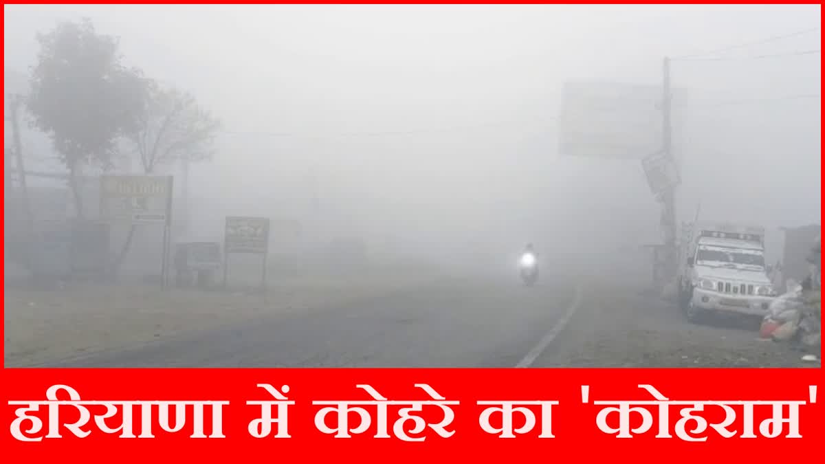 Fog Alert in Haryana