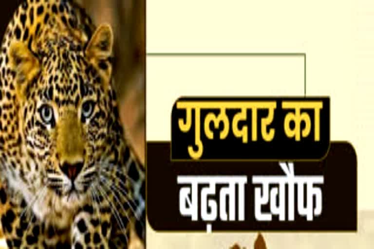 Human Wildlife Conflict in Uttarakhand