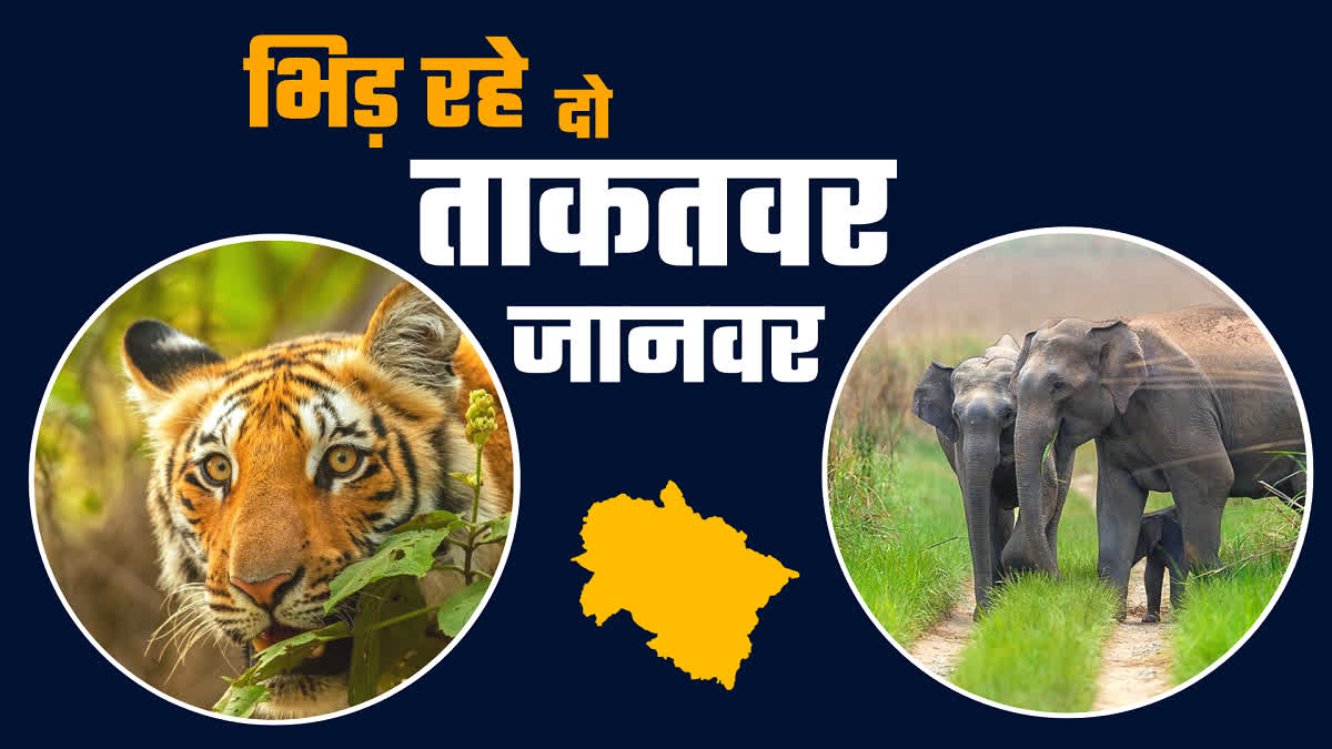 Human Wildlife Conflict in Uttarakhand