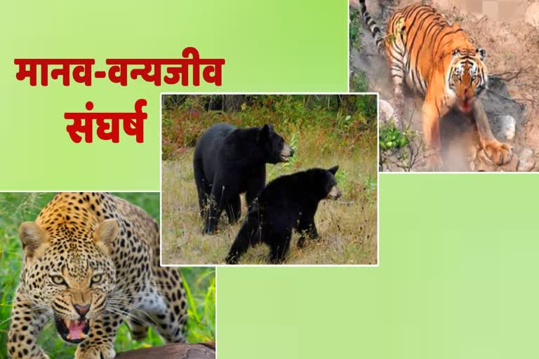 Human Wildlife Conflict in Uttarakhand