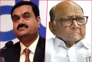 Adani Meet Sharad Pawar