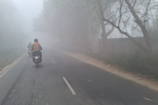 fog in Gaya