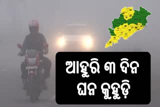Dense Fog in Odisha