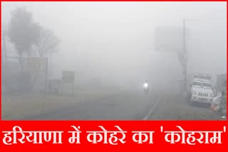 Fog Alert in Haryana