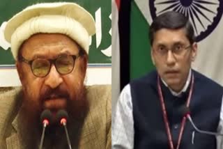 MEA: India requested Pak to extradite Hafiz Saeed to face trial