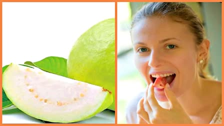 guava varieties  Guava species   guava cultivation  guava health properties  guava health benifits