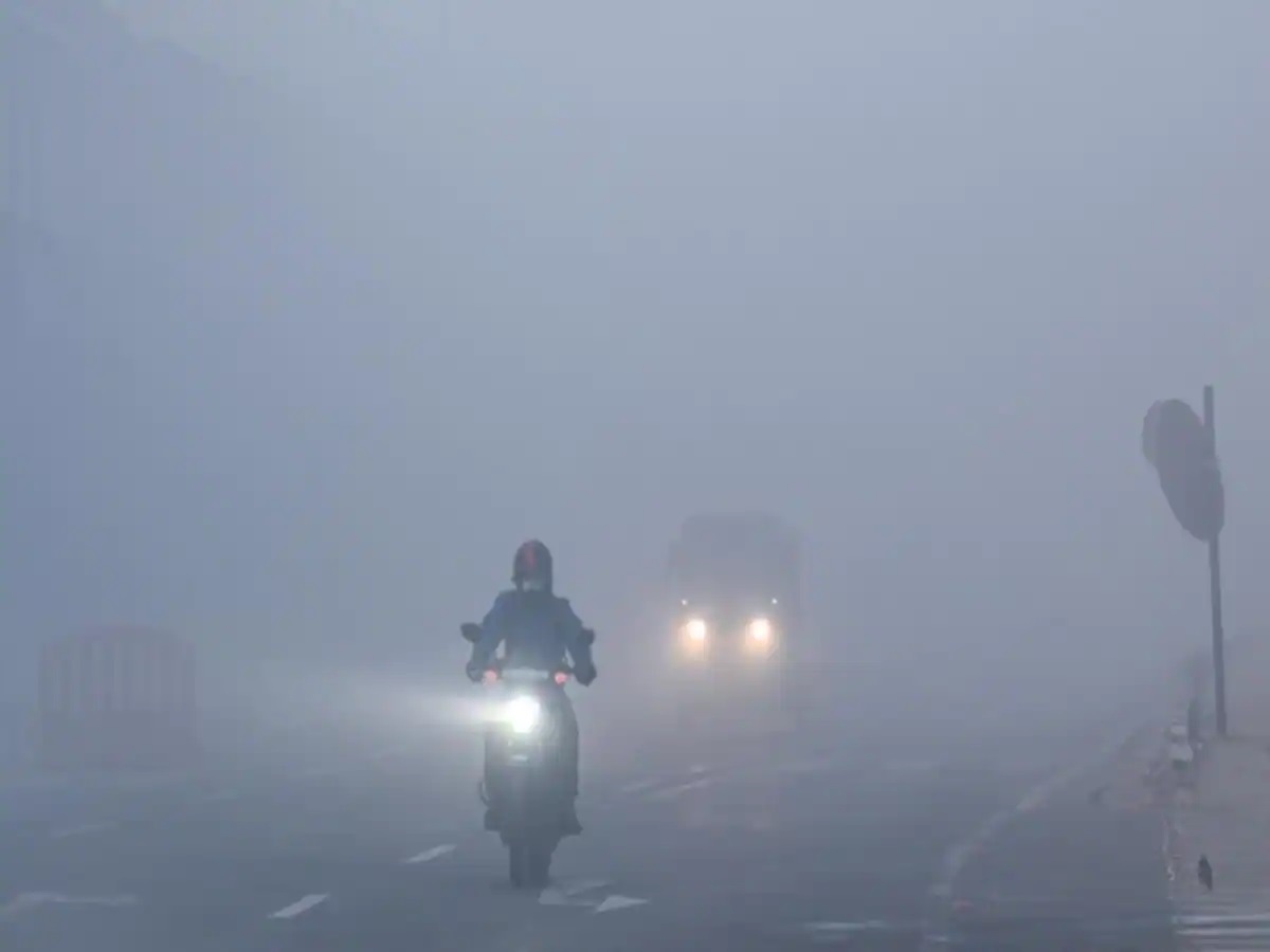 Fog in rajasthan