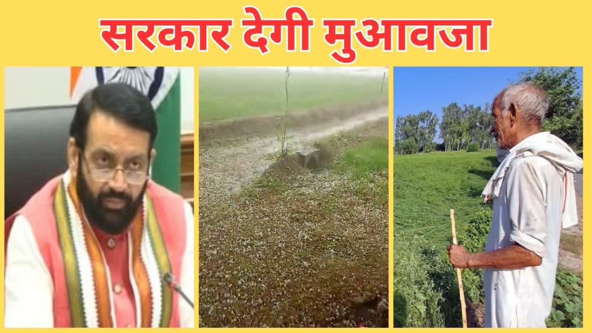 compensation to farmers for hailstorm