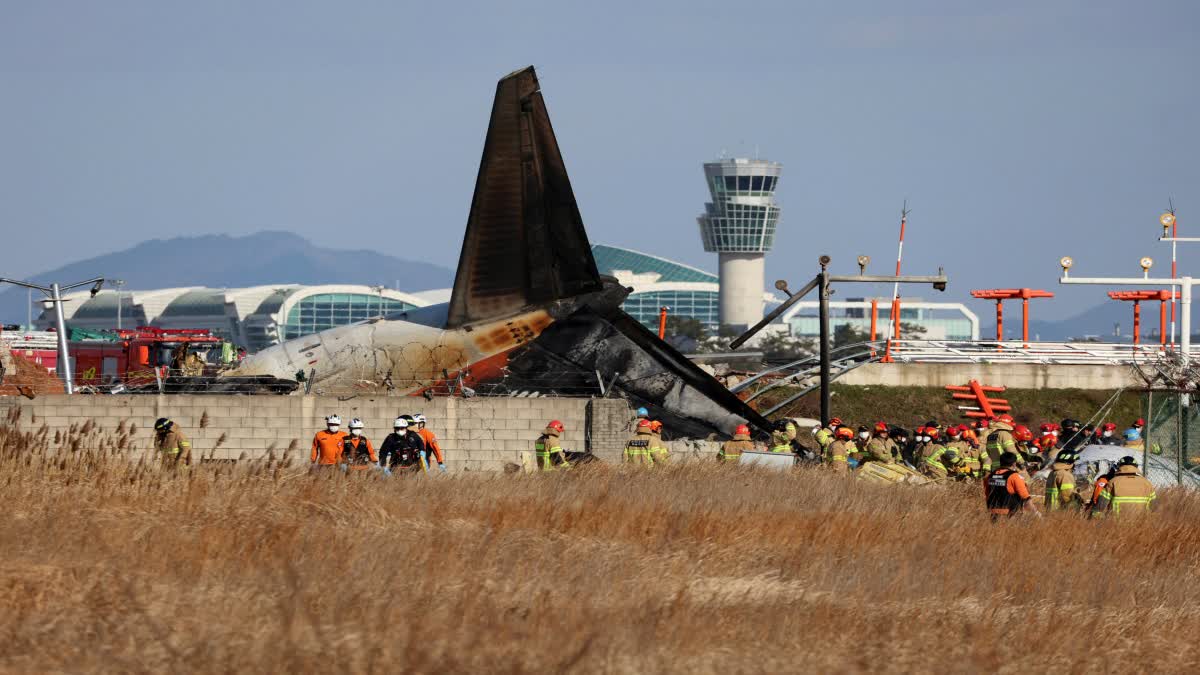 South Korea Plane Crash Reason