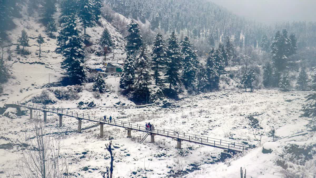 People walk on a bridge amid fresh snowfall, at Tangmarg area of north Kashmir, Wednesday, Jan. 31, 2024.