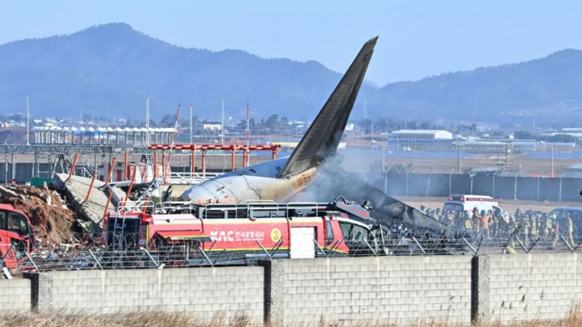 Plane crashes after skidding off runway in South Korea