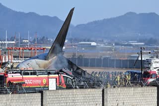 South Korea Plane Accident