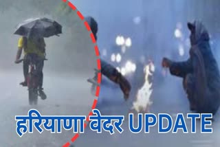 HARYANA WEATHER UPDATE