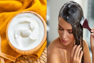 Curd Pack for Hair Benefits