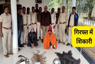 Leopard and bear skins recovered