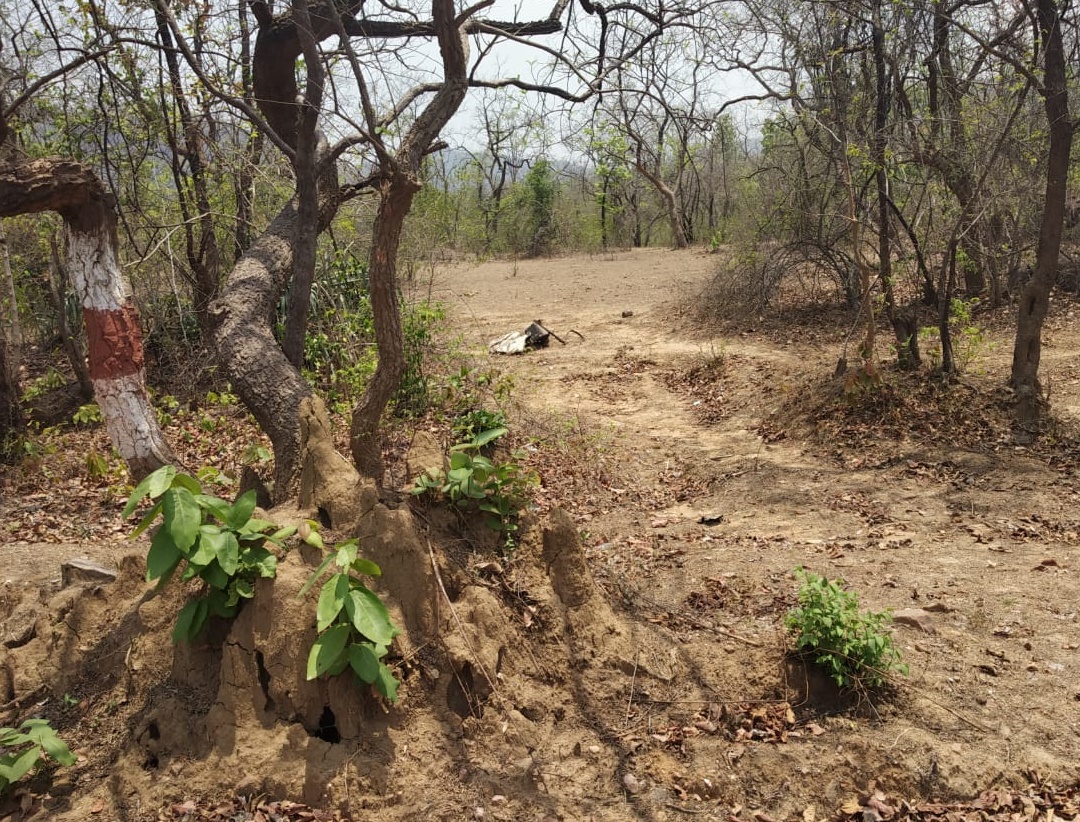 GADCHIROLI ATTACK