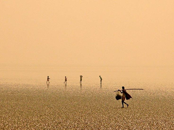 The unknown Facts, vanishing beach of india, Chandipur the vanishing beach of India, ଚାନ୍ଦିପୁର ବେଳାଭୂମି, ବାଲେଶ୍ବରର ଚାନ୍ଦିପୁର ବେଳାଭୂମି, ଲୁଚିକାଳି ଖେଳେ ସାଗର ସହ ବେଳାଭୂଇଁ, ଅଦୃଶ୍ୟ ସାଗର, ଅଜଣା କଥା