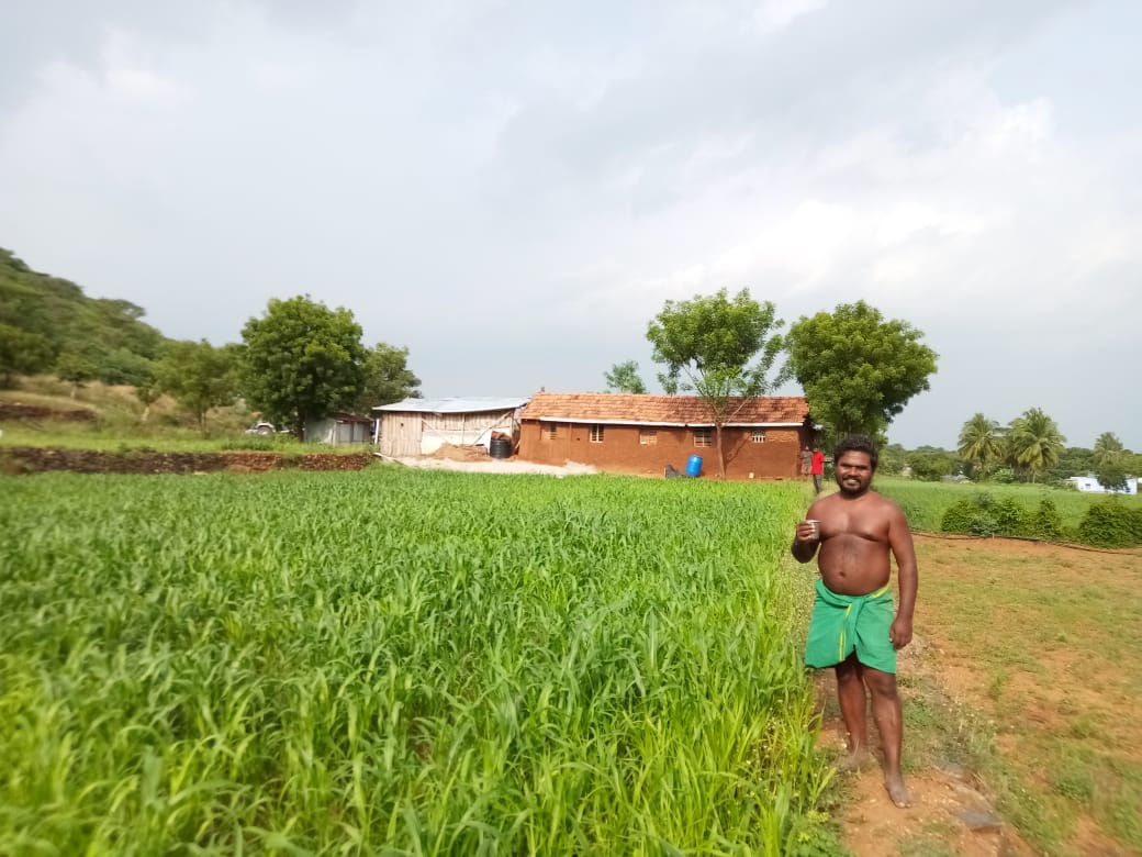 இயற்கை விவசாயம்