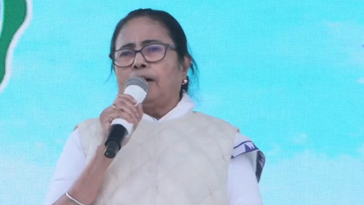 Mamata Banerjee