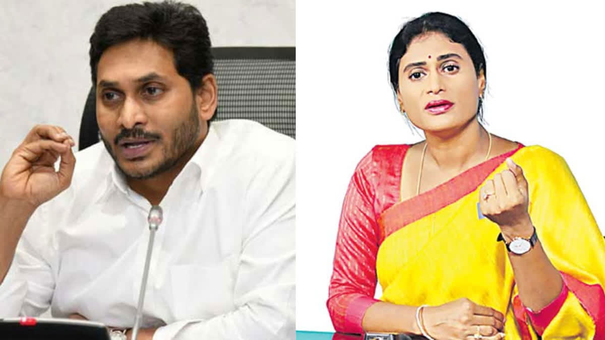 Sharmila And Sunitha Unite To Defeat CM Jagan In Pulivendula And ...