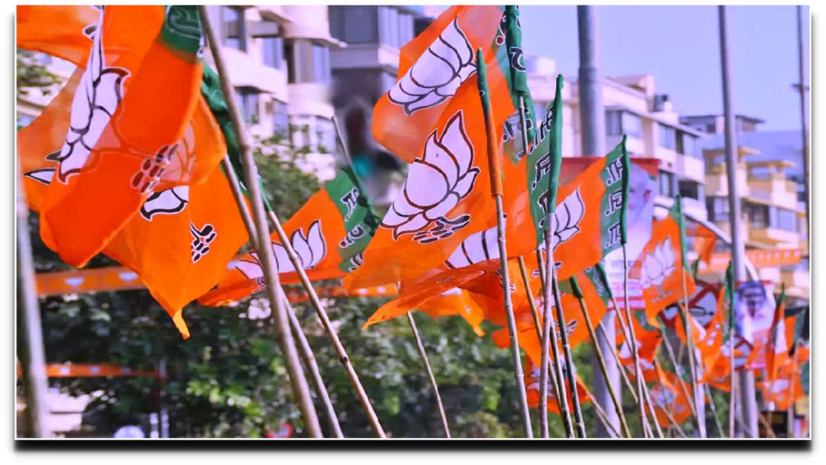 BJP Targets on Lok Sabha Seats