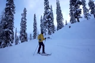 A skier skies on a snow covered slope at Gulmarg
