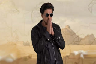 Shah Rukh Khan  SRK  Shah Rukh Khan Fan Meet  SRK Comeback  ഷാരൂഖ് ഖാൻ  ബോളിവുഡ്