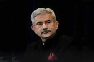 External affairs Minister S Jaishankar asserted Indian Navy's deployment  in Red Sea to provide protection and survey the sea in light of the recent attacks on merchant vessels