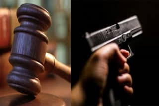 Karnataka High Court Directs Collector to Consider Shooter's Plea for Possessing Weapons, Ammo