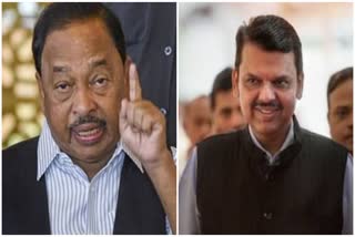 Narayan Rane Devendra Fadnavis