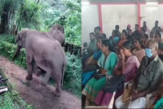 പീരുമേട് തൂക്കുവേലി  വനം വകുപ്പ് ഇടുക്കി  Wild Animals In Peerumedu  Wild Animal Attack Idukki