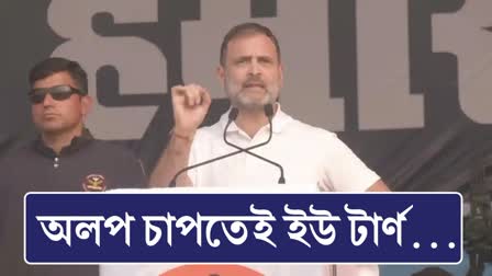 Rahul Gandhi On Nitish Kumar