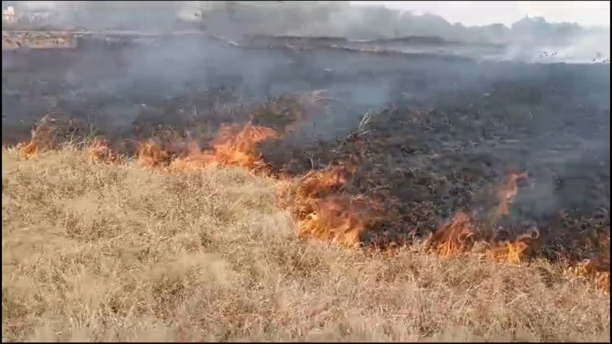 Fire broke out in Jamua of Giridih