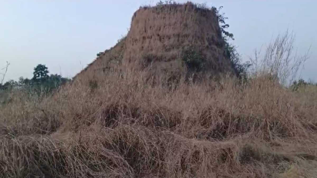 ARIKADY FORT  ARIKADY FORT TREASURE  ആരിക്കാടി കോട്ട നിധി  ARIKADY FORT KASARAGOD