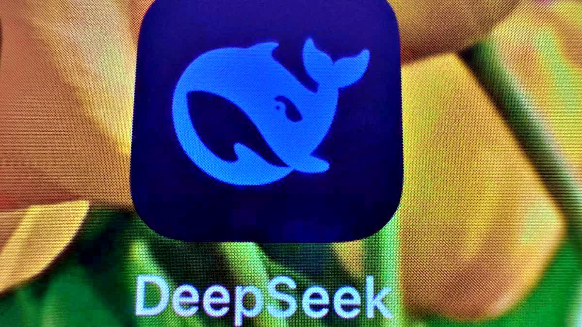 DeepSeek