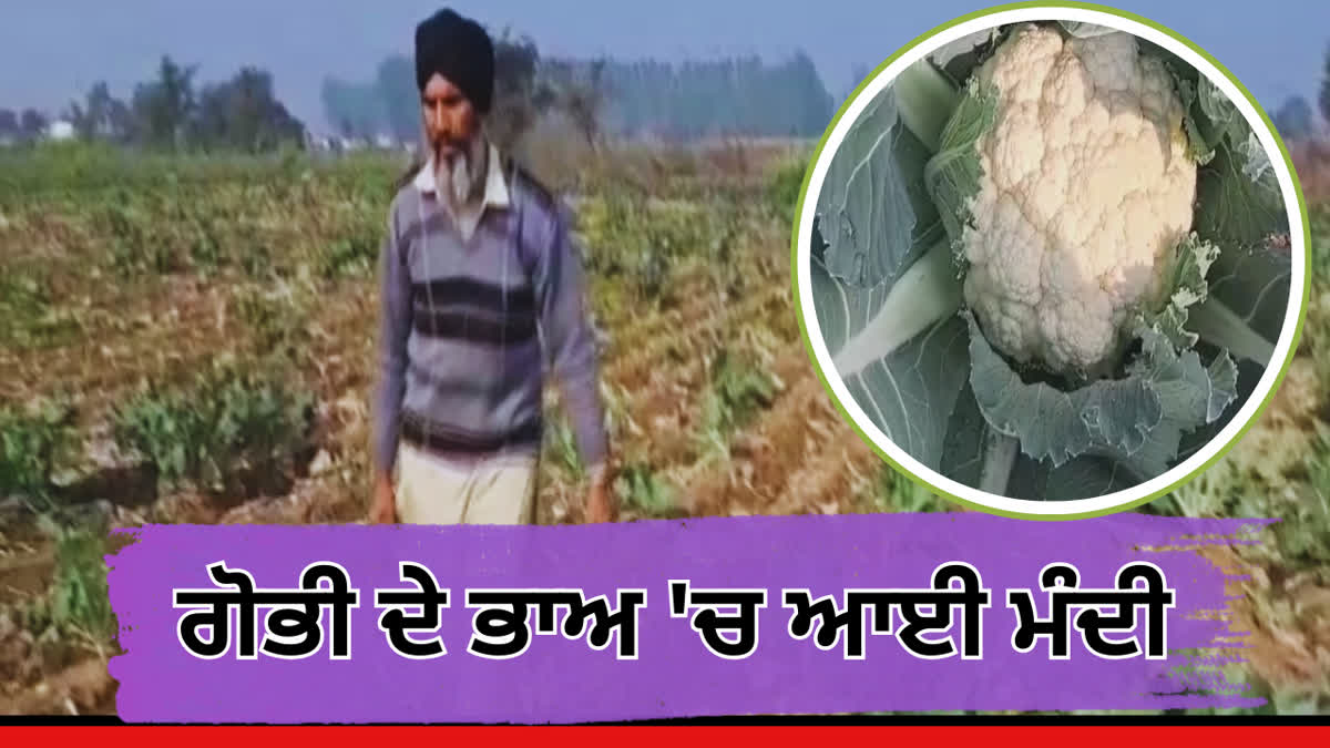 Cabbage is being sold at Rs 2 per kg in Punjab