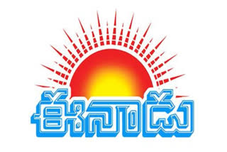 The Eenadu Flood Relief Fund raised Rs 9.43 crore to support flood victims in Andhra Pradesh and Telangana. Rehabilitation programs will begin soon, helping affected families recover.