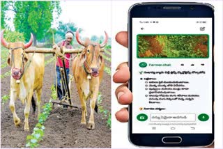 Farmer Chat App in AP