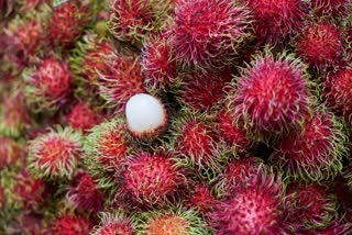 NUTRITION FACTS OF RAMBUTAN  BENEFITS OF HAVING RAMBUTAN  റംബുട്ടാന്‍റെ ആരോഗ്യ ഗുണങ്ങൾ  rambutan for healthy skin