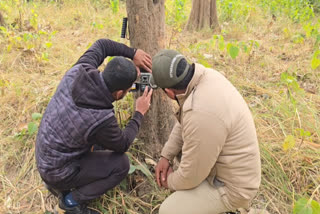 Uttarakhand Tiger Counting