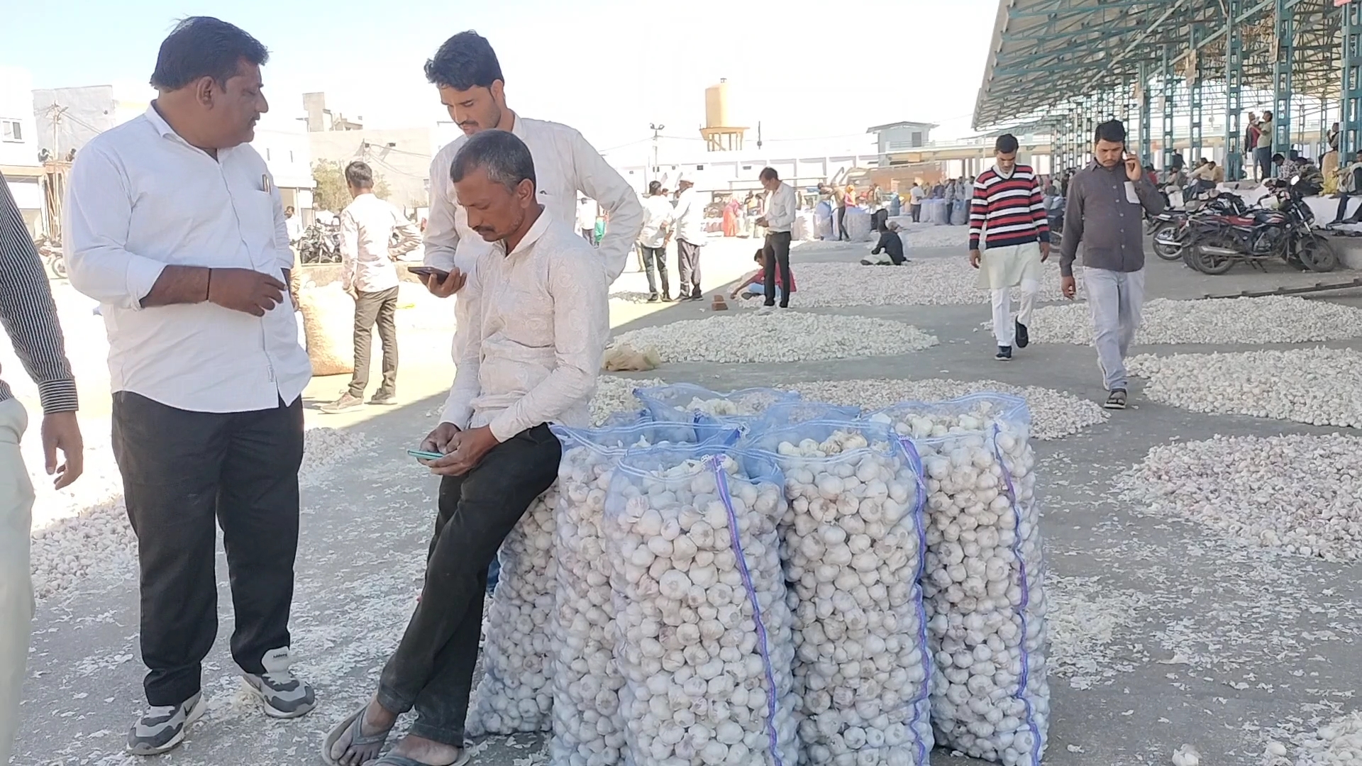 RATLAM MARKET GARLIC RATE