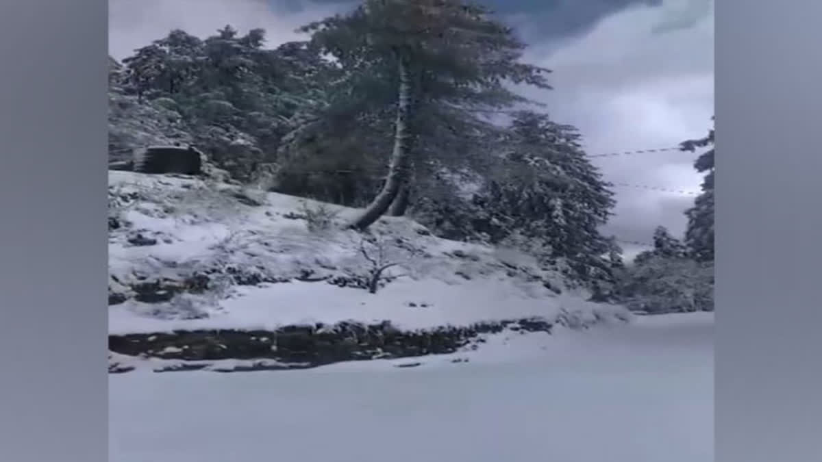 168 Roads Closed as Snow, Rains Lash Parts of Himachal Pradesh