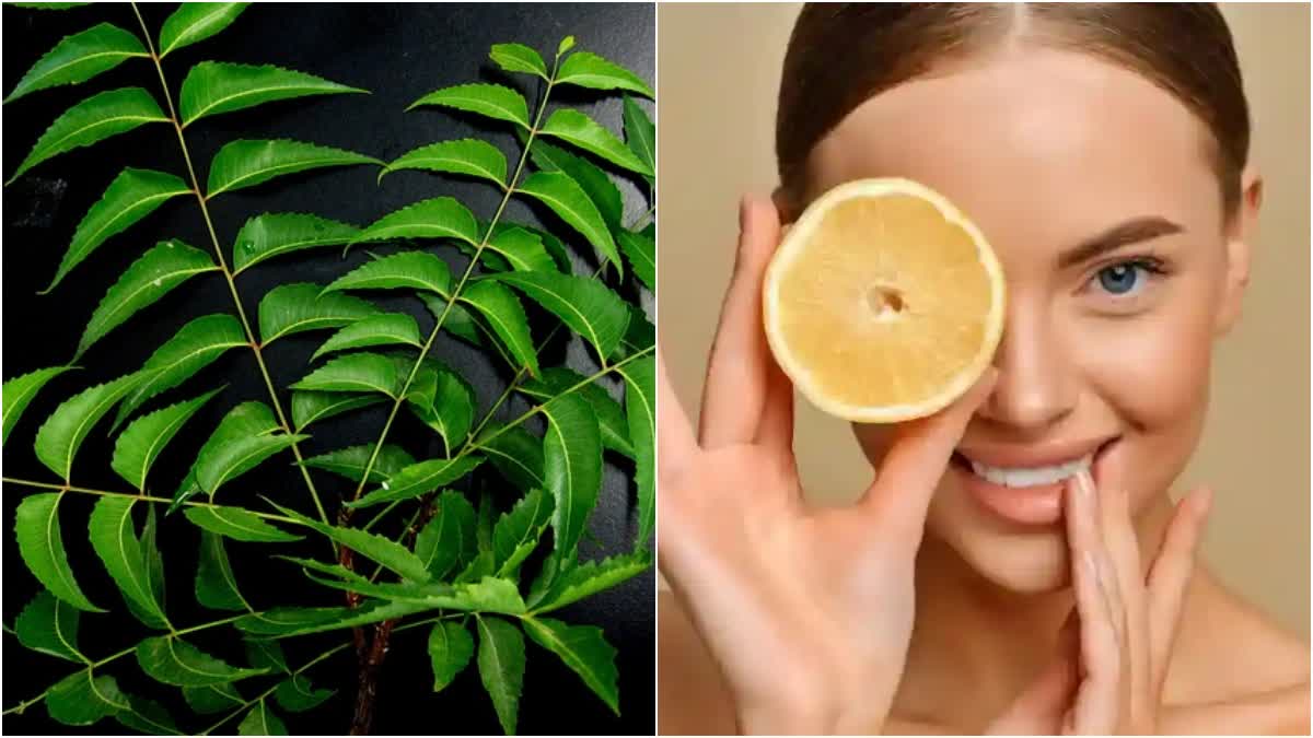 Neem Face Pack Benefits