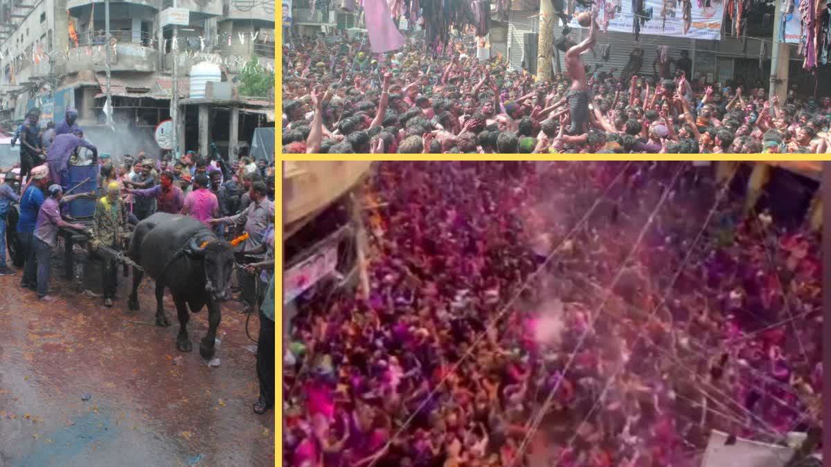 GANGA MELA IN KANPUR