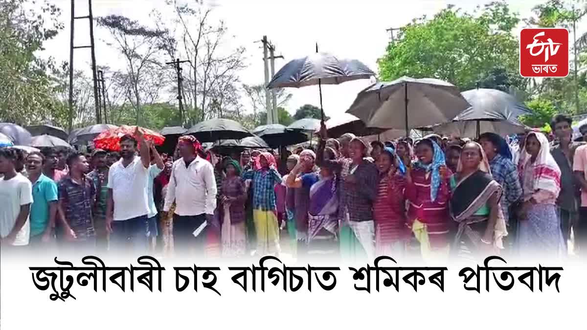 Tea estate labour protest