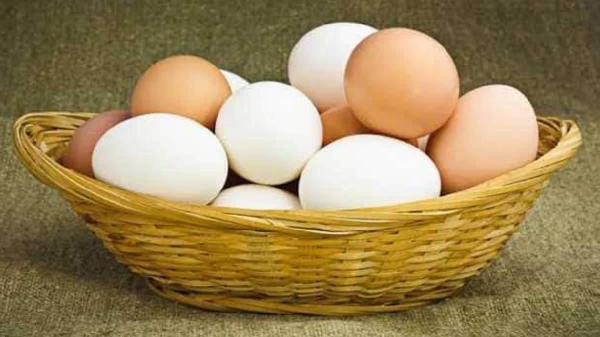 Consuming Too Many Eggs Can Harm Your Health