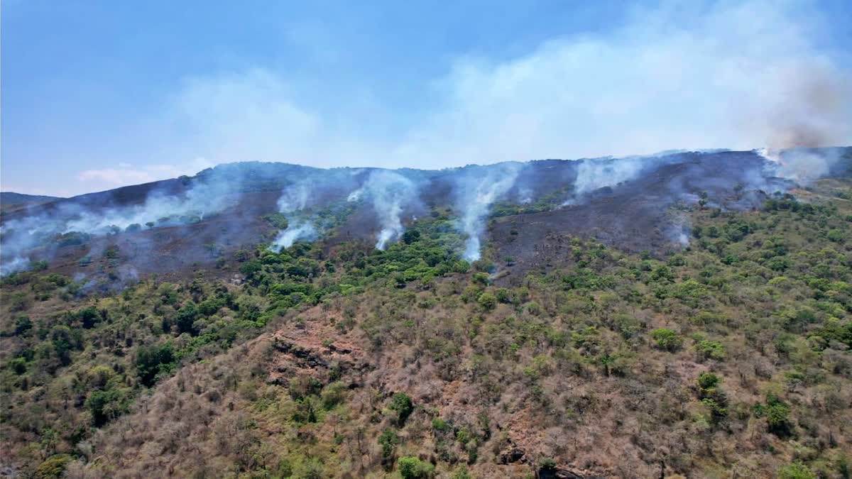 Forest fire near KK Dam