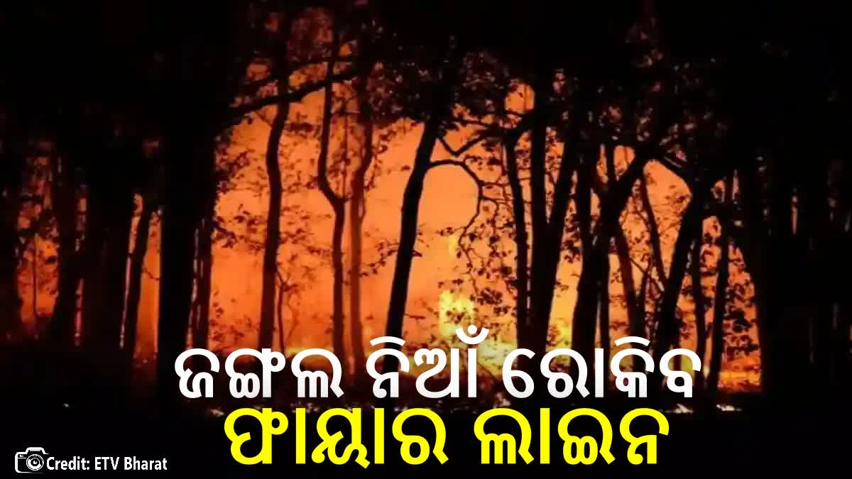 PREVENTION OF FOREST FIRE