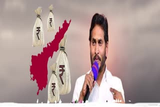 ycp_govt_loans