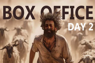 The Goat Life Box Office Collection